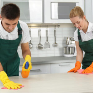 British Cleaning Course Free Pdf Certificate Training Tale