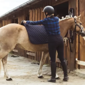 Horse Care and Management Course