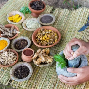 Ayurveda Course