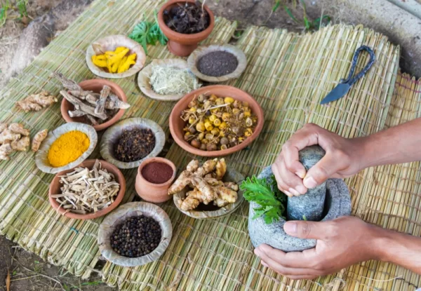 Ayurveda Course