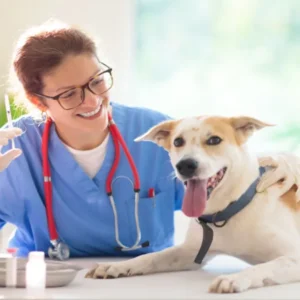 Dog Health Care