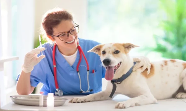 Dog Health Care