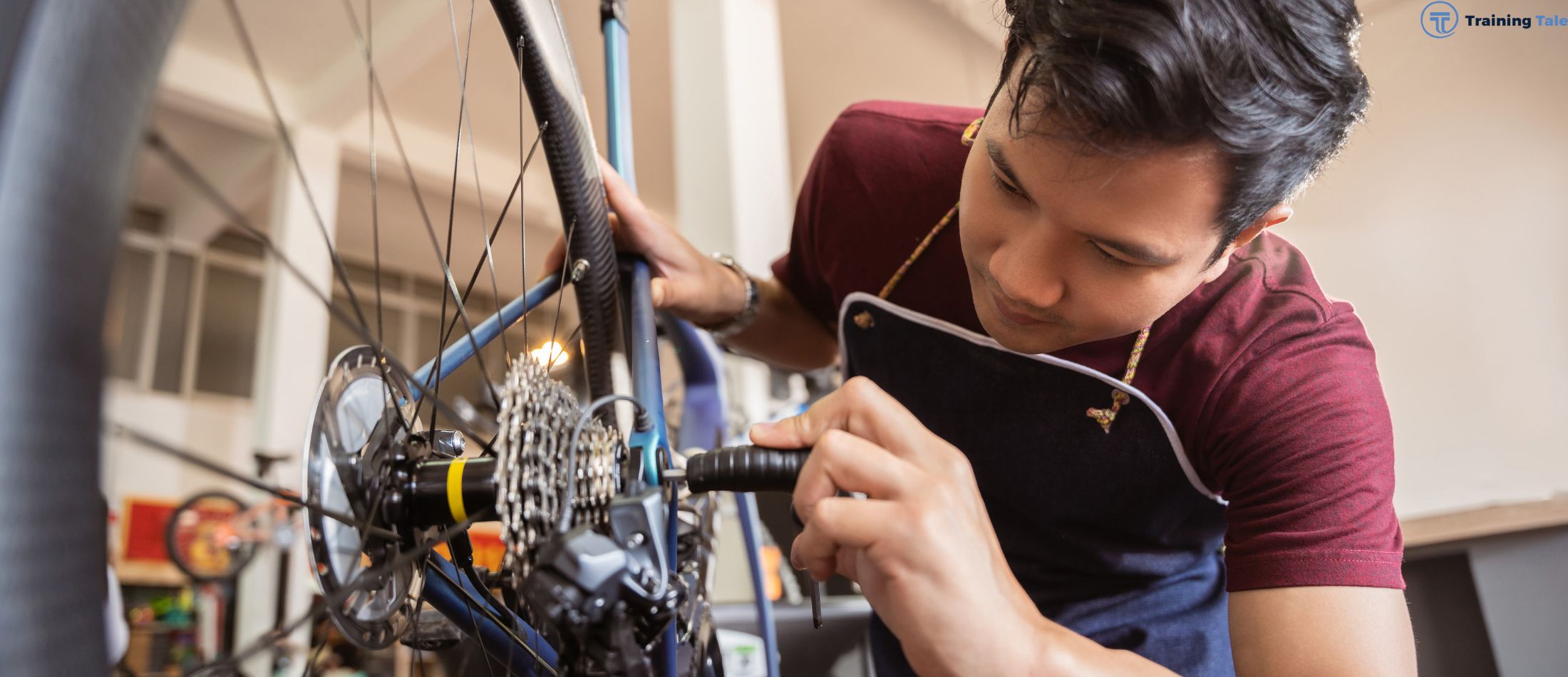 Bicycle Mechanic