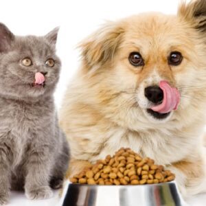 Pet Nutrition