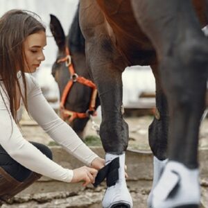Level 3 Work-based Horse Care and Management