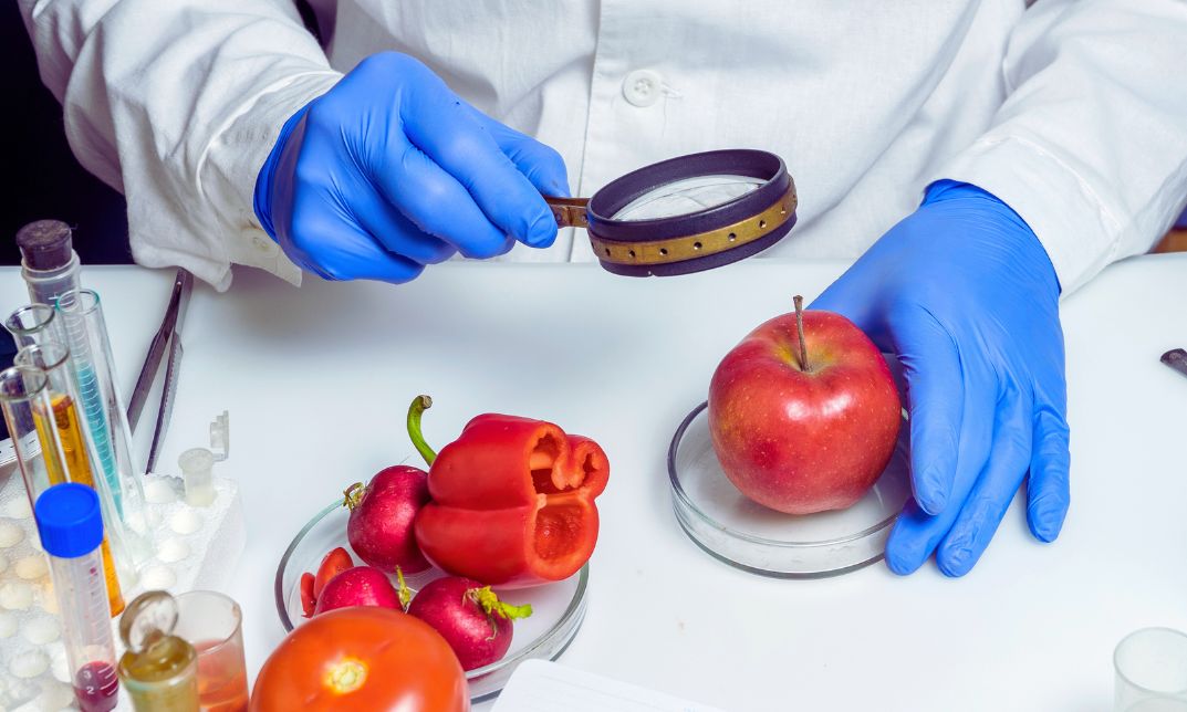 Why Food Safety and Hygiene Is Important