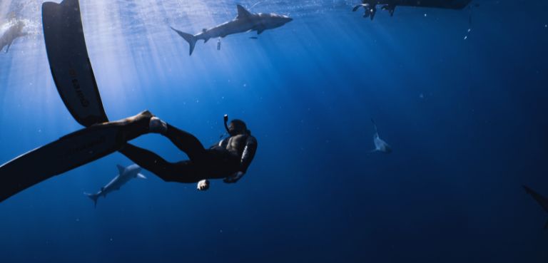 Commercial Saturation Diver