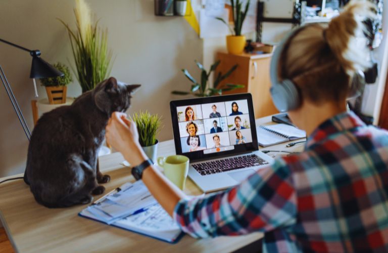 Virtual Assistant