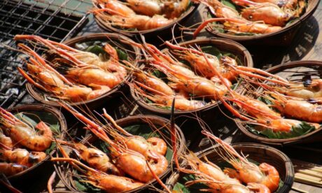 Can You Reheat Prawns